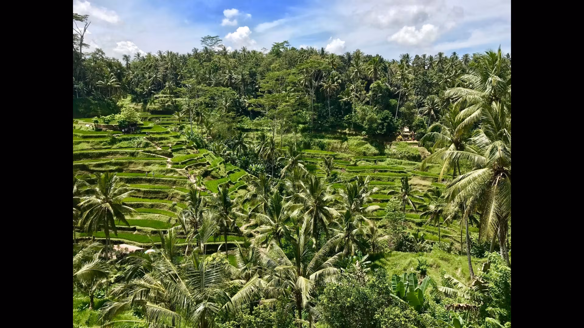 Visiting Bali’s Floating Temple: Ulun Danu
