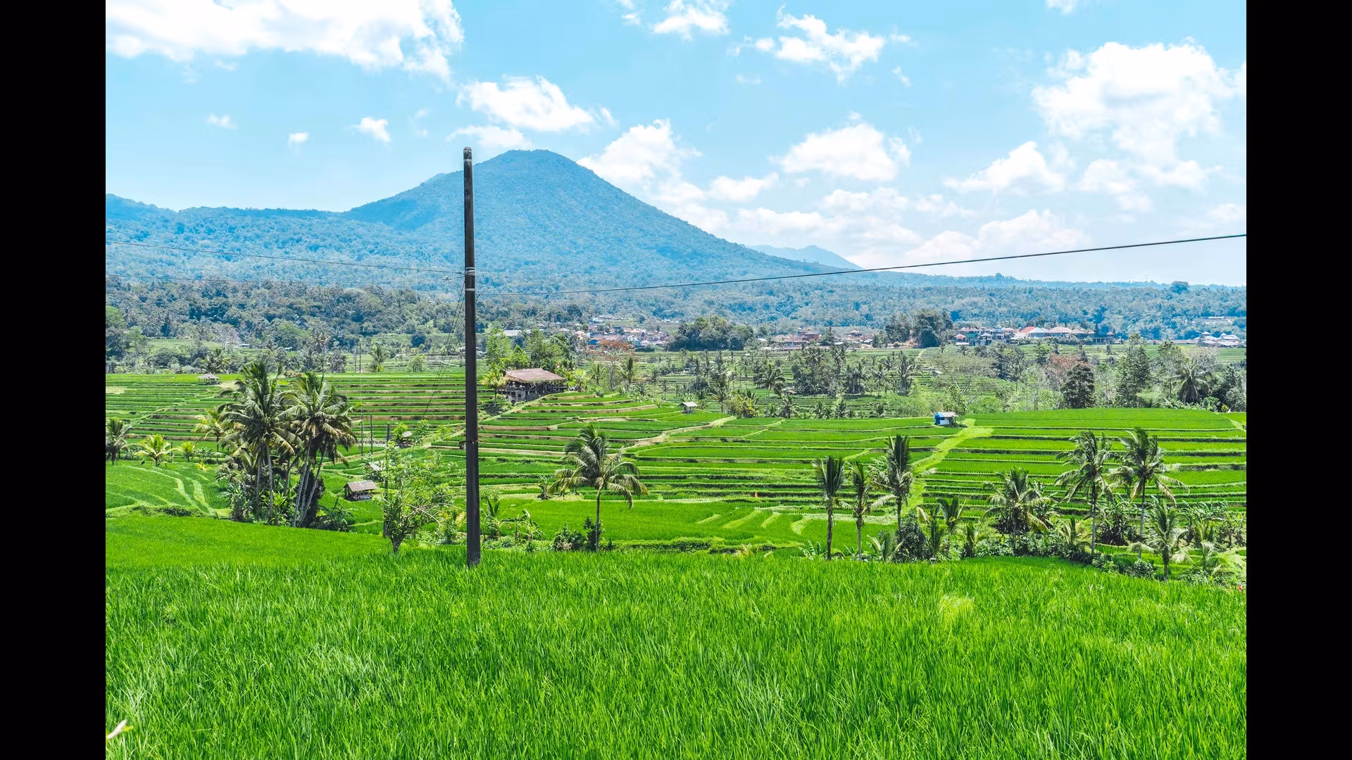 Bali’s Hidden Hot Springs: A Relaxing Retreat