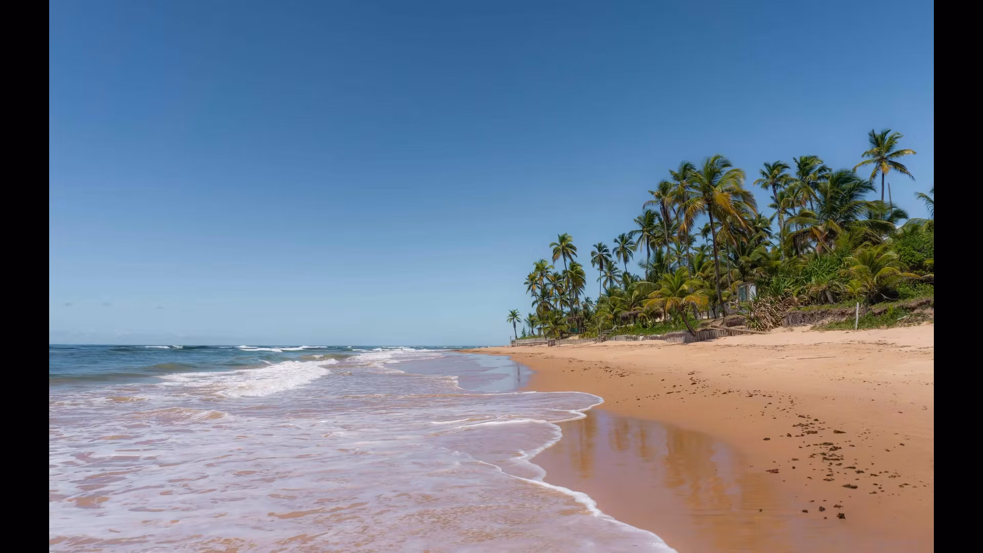 Exploring the Unique Marine Life of Fernando de Noronha