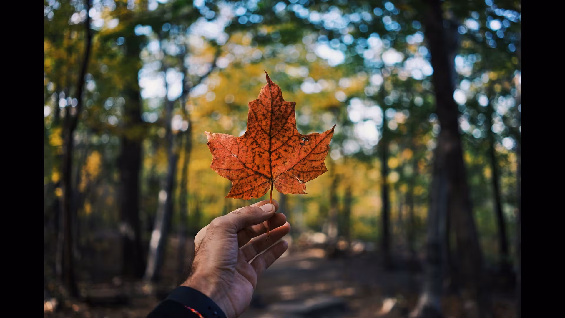 Exploring the Culinary Scene of the Canadian Prairies