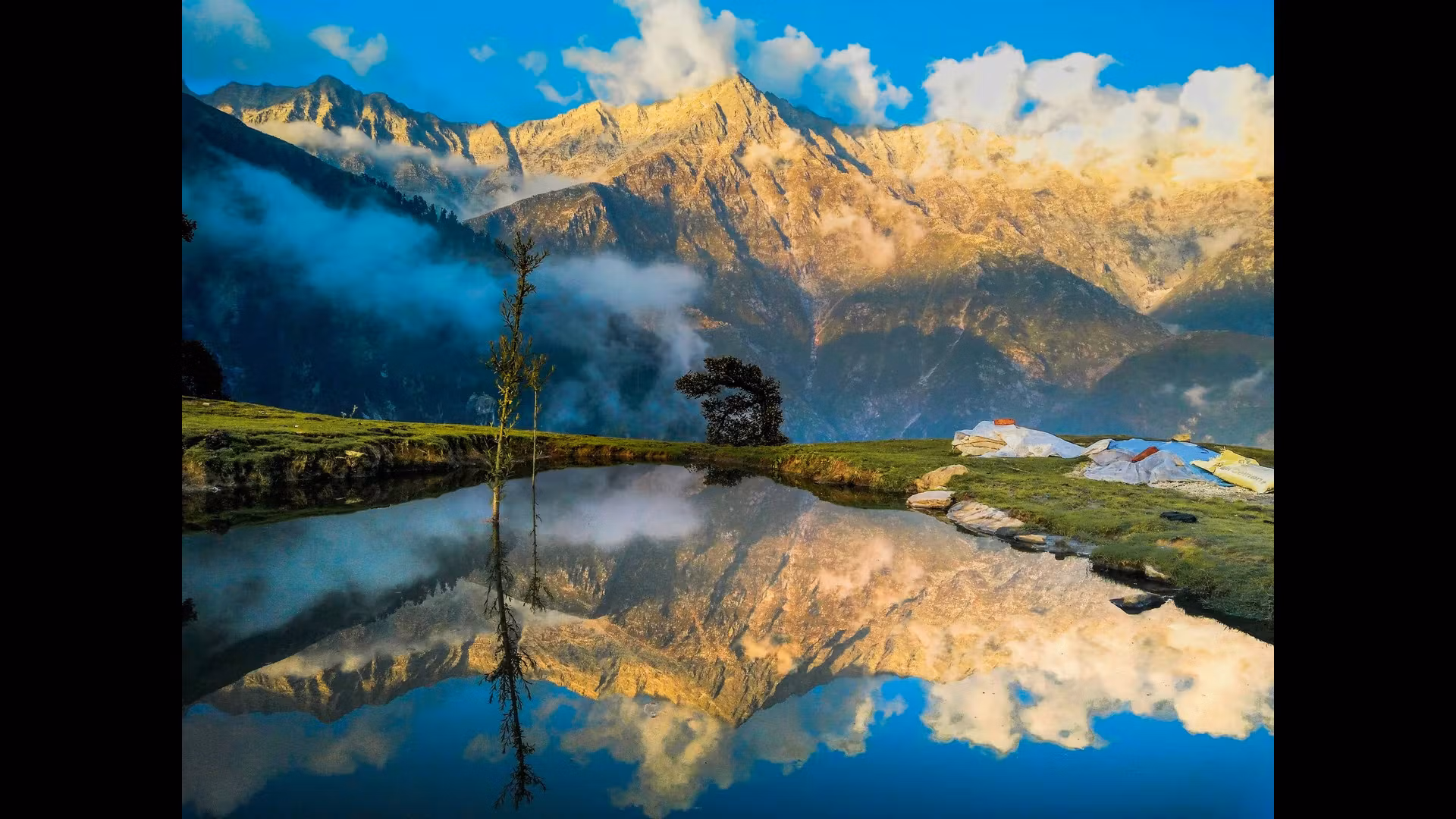 A Culinary Adventure: Discovering the Best Indian Breads