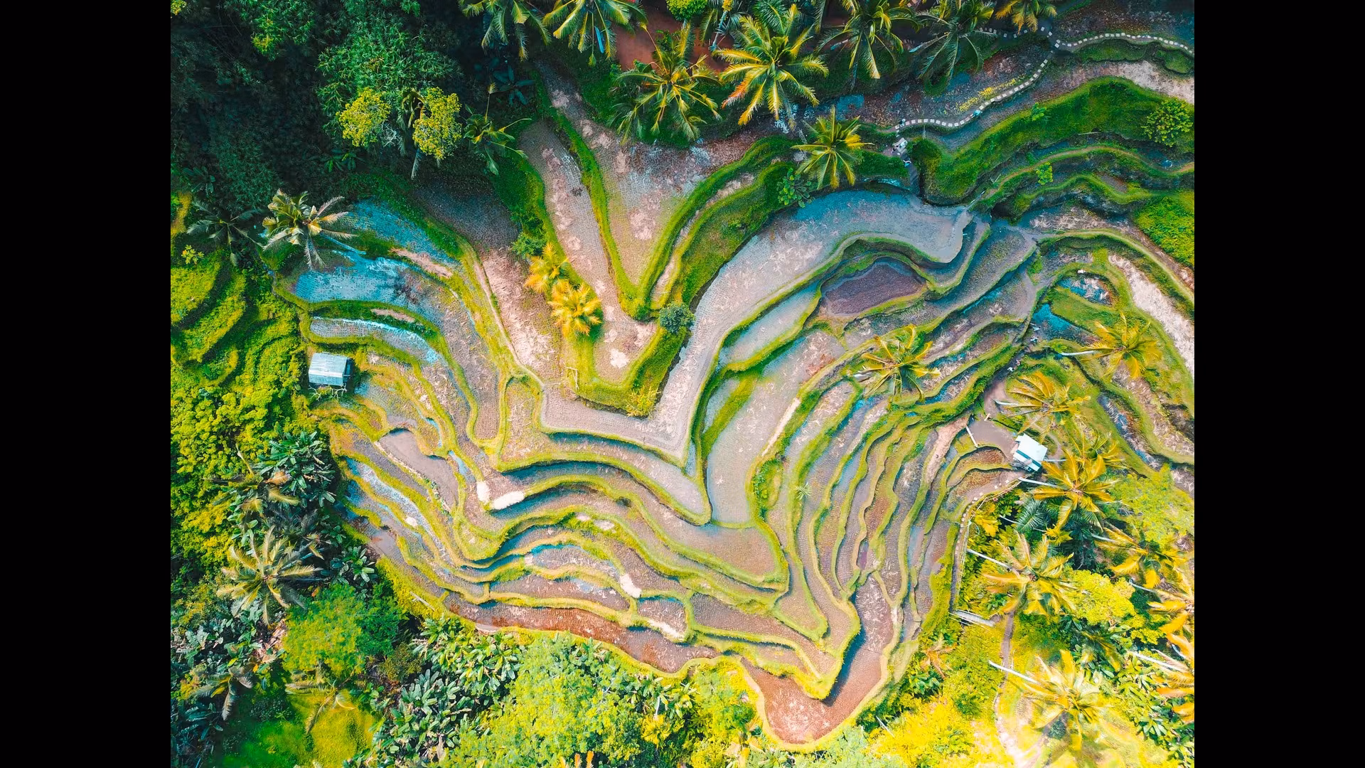 Indonesia travel guide