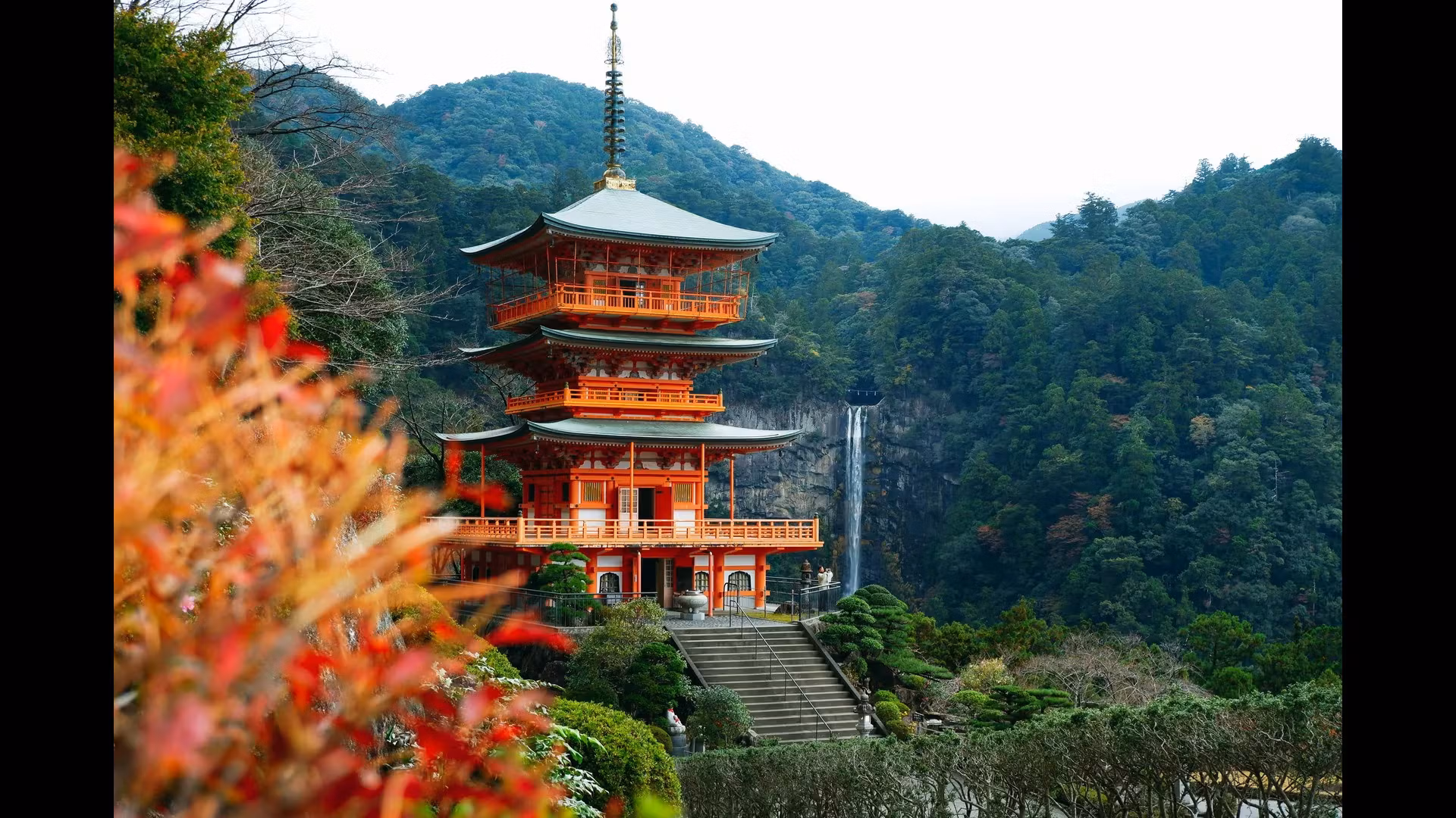 Exploring the Fascinating History of the Samurai in Edo
