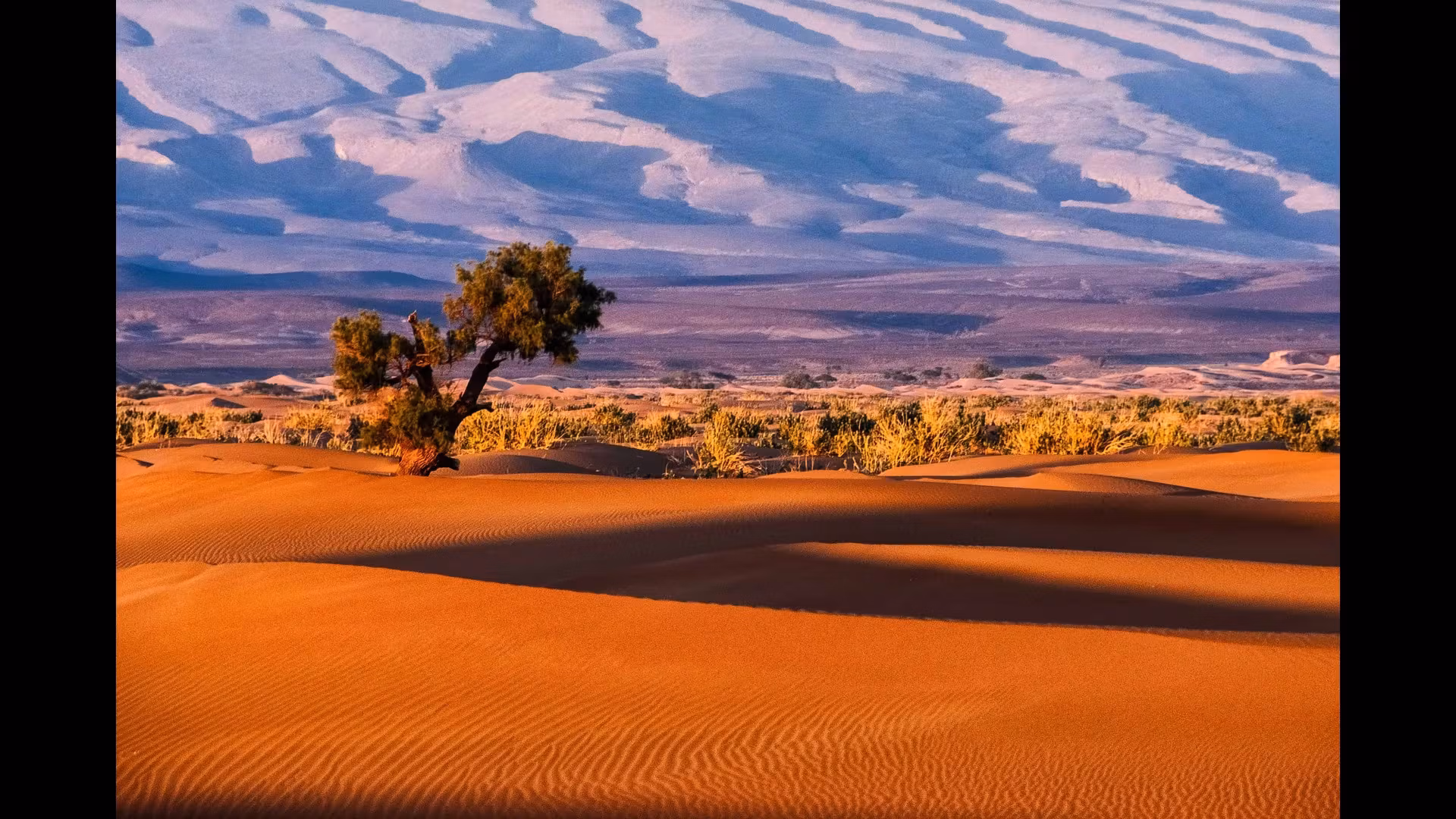 Discovering the Rich Flavors of Moroccan Cuisine