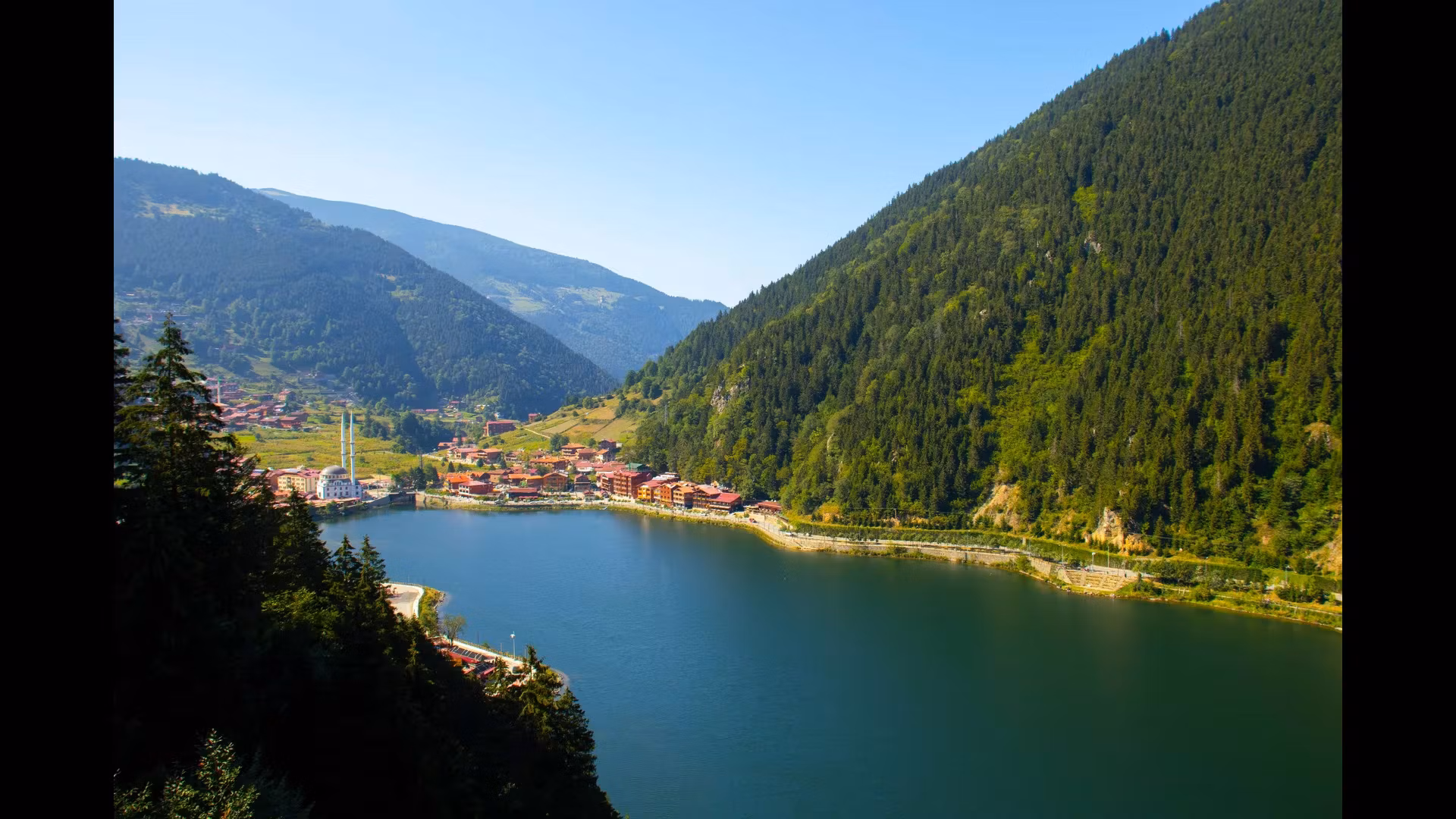 Turkey's National Cuisine: A Culinary Guide