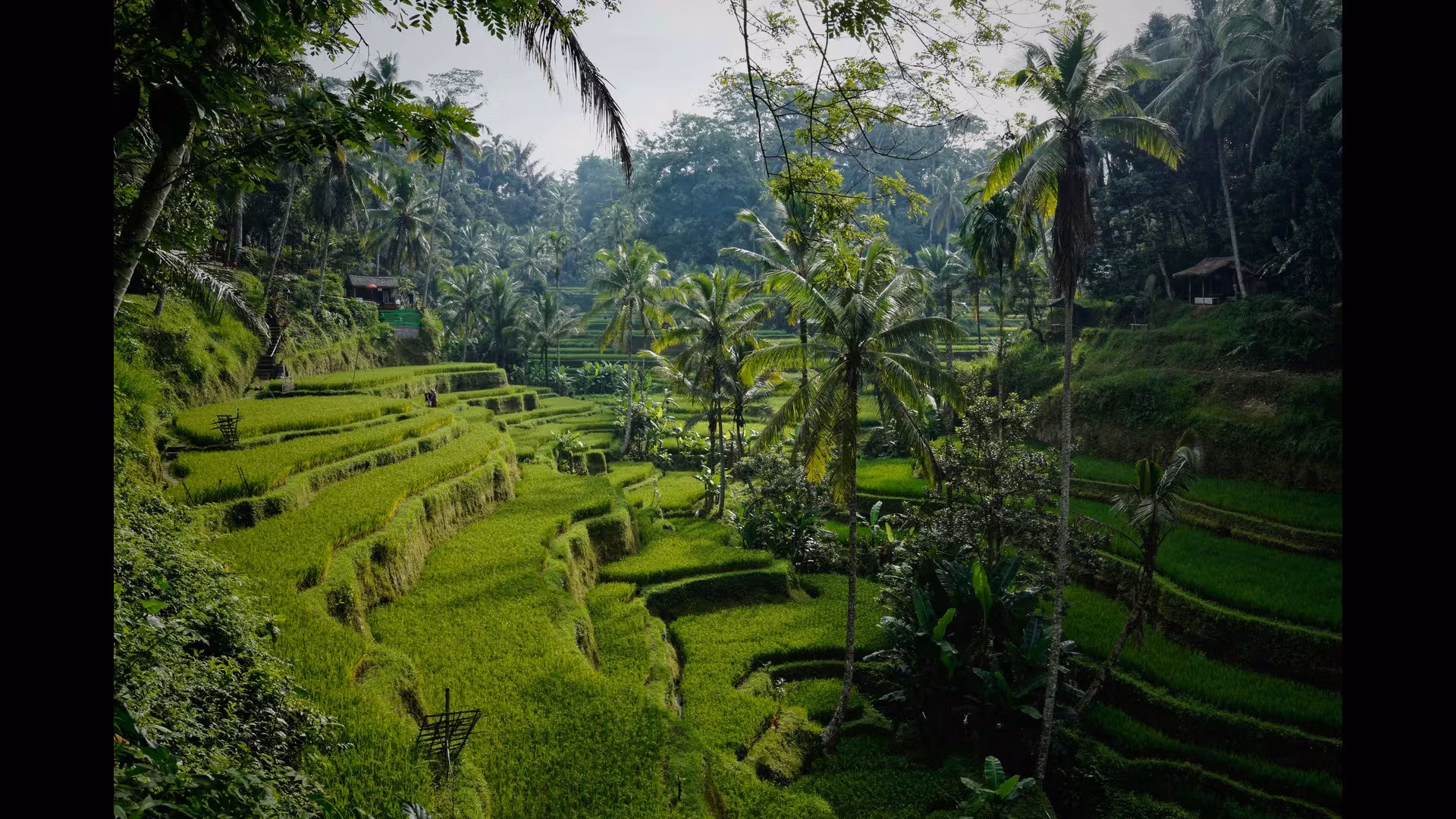 Bali’s Caves: Exploring Goa Gajah and More