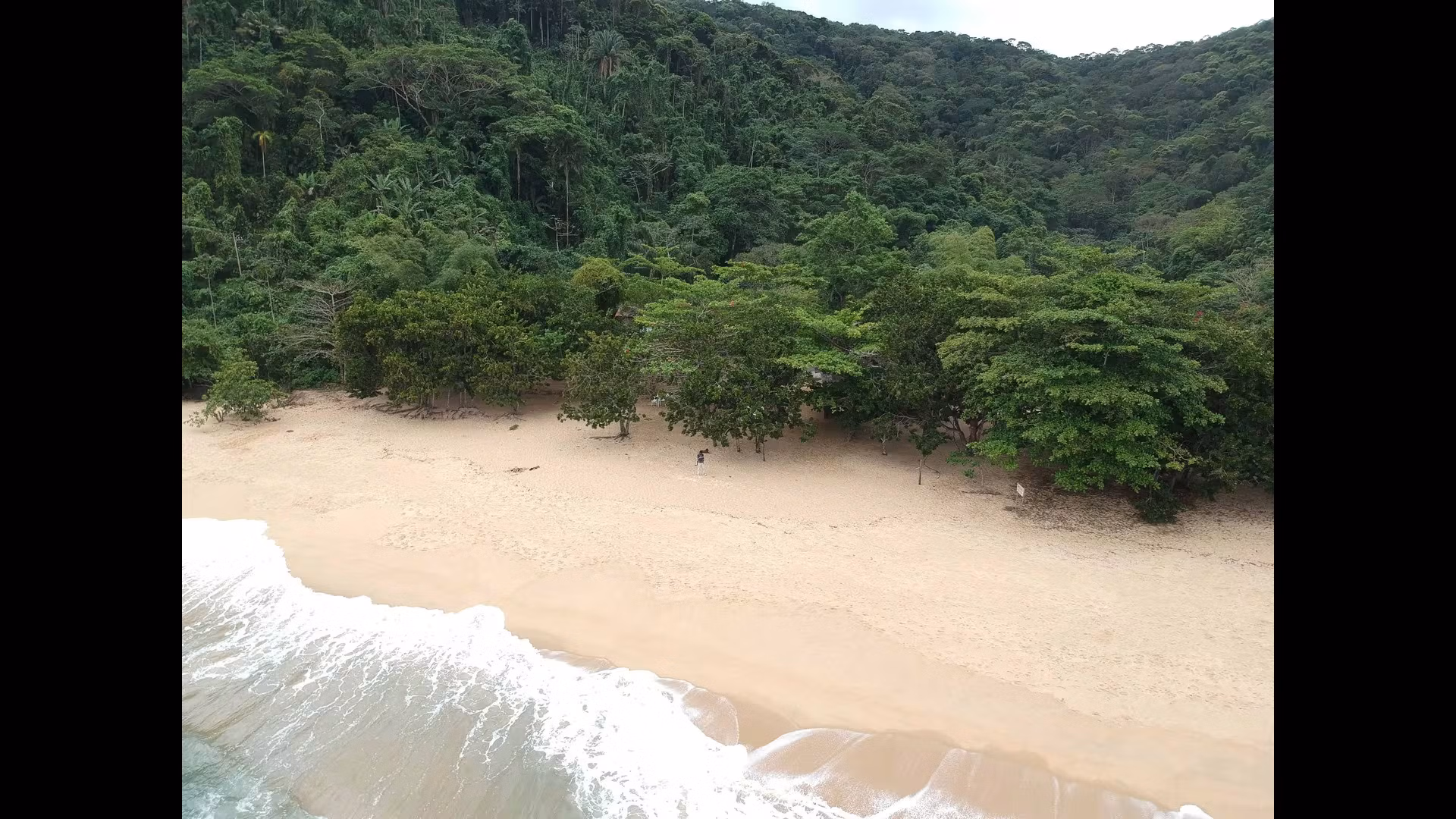 The Most Iconic Landmarks to Visit in Brasília